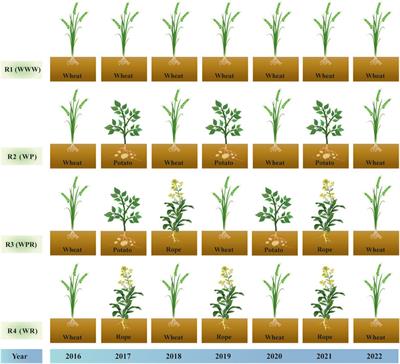 Dynamic changes of soil microorganisms in rotation farmland at the western foot of the Greater Khingan range